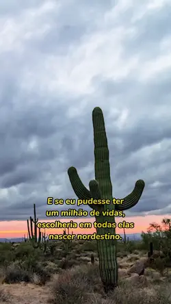 nordestinos