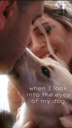 Dogs / Pets / BFF