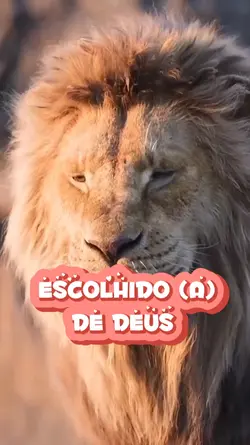 ESCOLHIDO DE DEUS 
