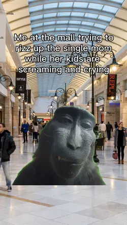 Monkey with rizz