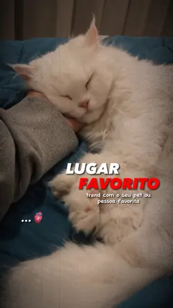 Trend 10 fotos | ❤️‍🩹