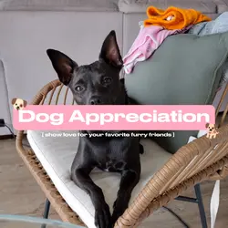 Dog Appreciation 