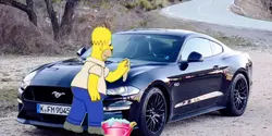 Homer encerando 