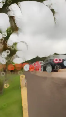 Edit para carros