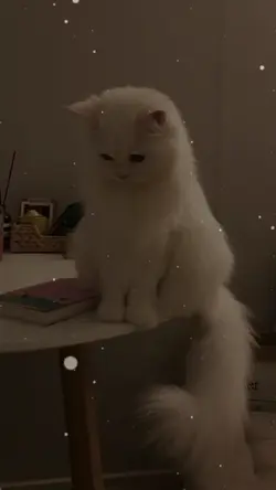 o problema não é vc