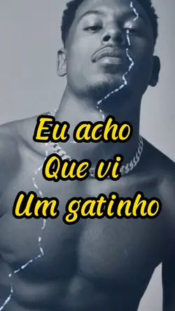 Eu vi um gatinho❤️