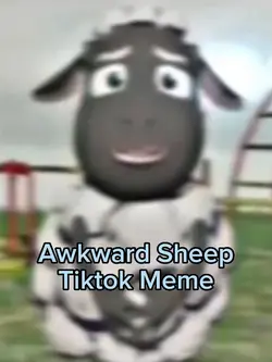 Awkward Sheep Meme