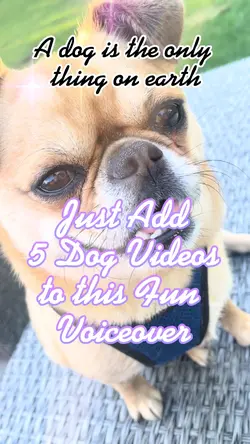 A Dog Is the Only…