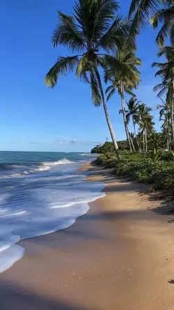 Vlog de viagem 