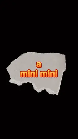 a mini mini 