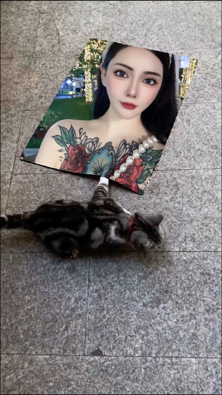 sevimli bir kedi