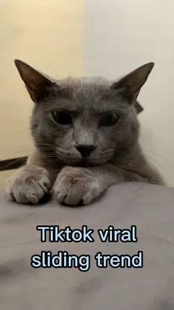tiktok viral slide
