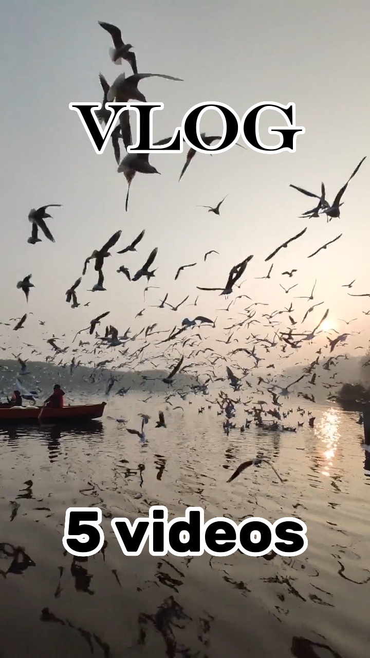 Vlog