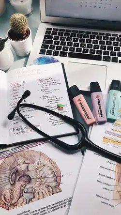 Profissão, estudante