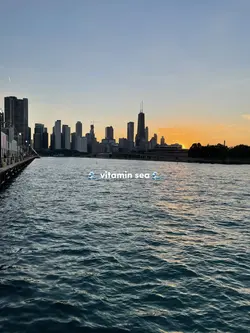 🌊 vitamin sea 🌊