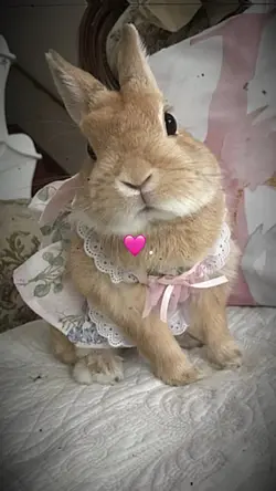 love that doesn't hu