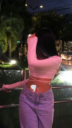 modelo novo