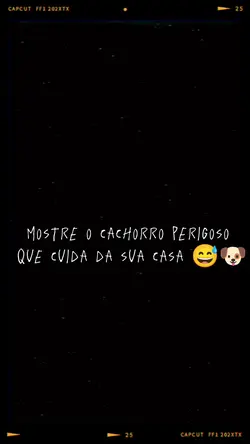 Cachorro 