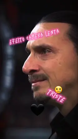 zlatan ibrahimovic 