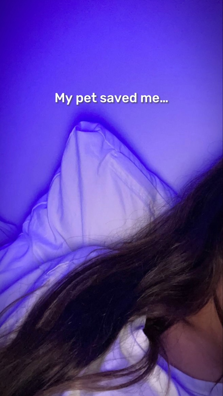 Mi mascota me salvó 🐶❤️‍🩹