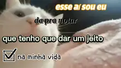 ESSE AI SOU EU ...