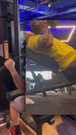 MODELO V. TREINO S/🎼