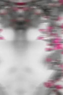 Retratos e canções 