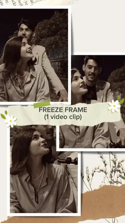 freeze frame (brown)