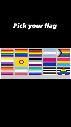 Pick your flag