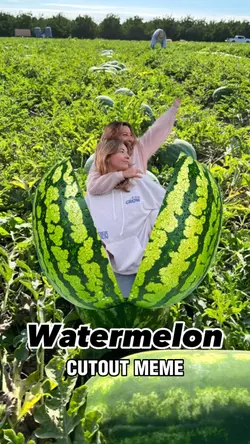 Watermelon MEME