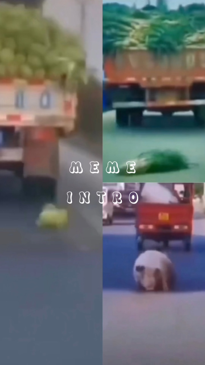 Meme intro 🫡