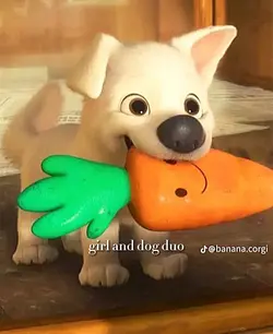 dog duo 🐶🐾🐕