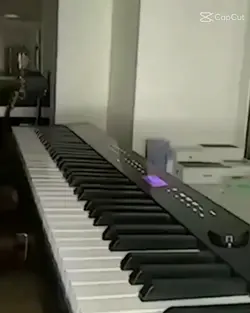 gato