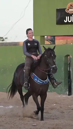 CAVALO SELADO