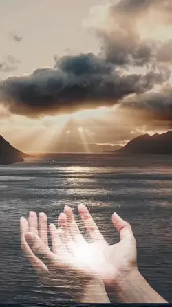 vídeo maravilhoso 