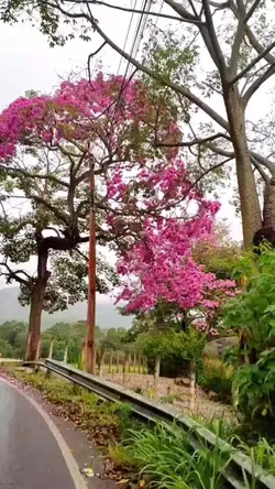 Belezas da Natureza 