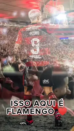 Isso aqui é Flamengo