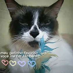 vc me faz tão bem..