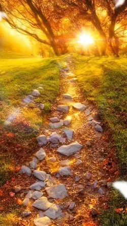 DIANTEDOTRONO GOSPEL