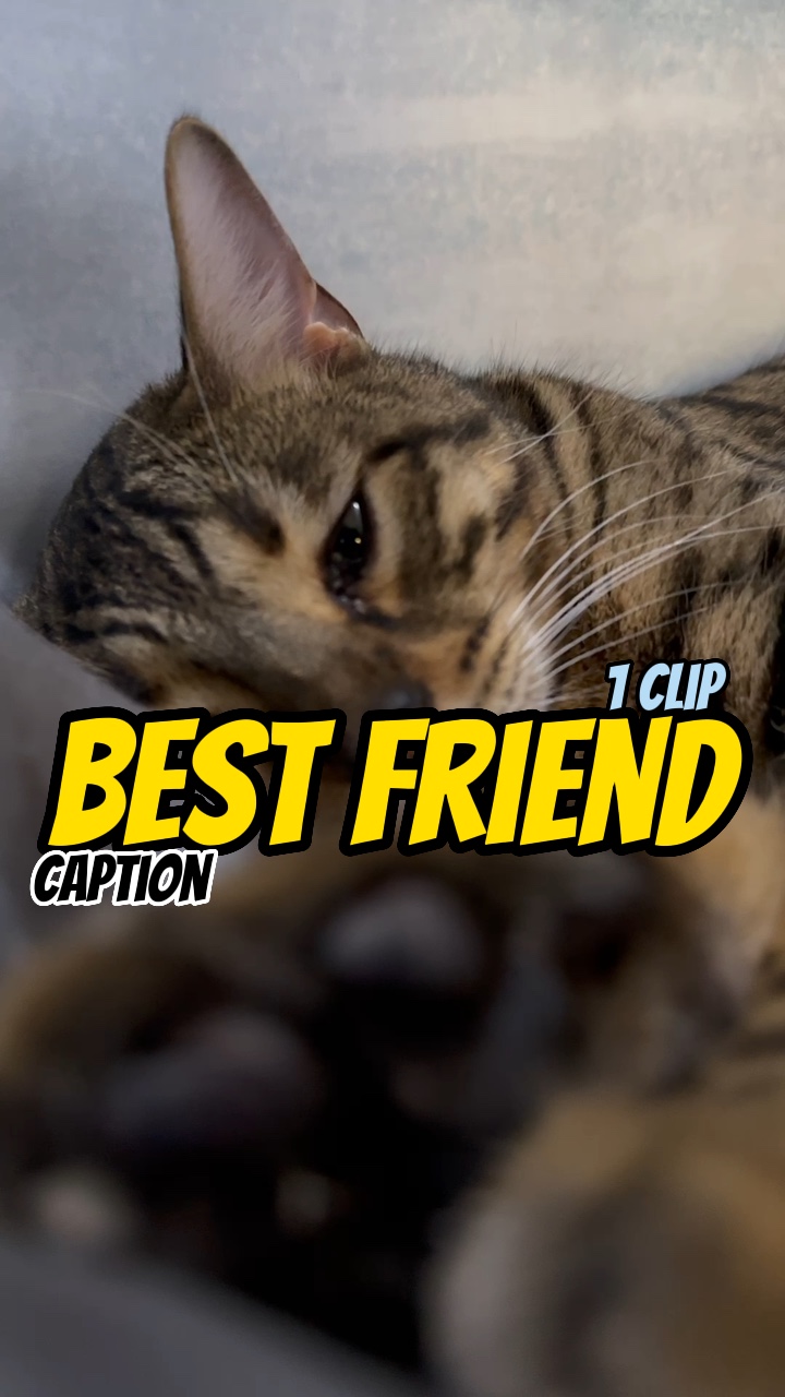 Best friend! 