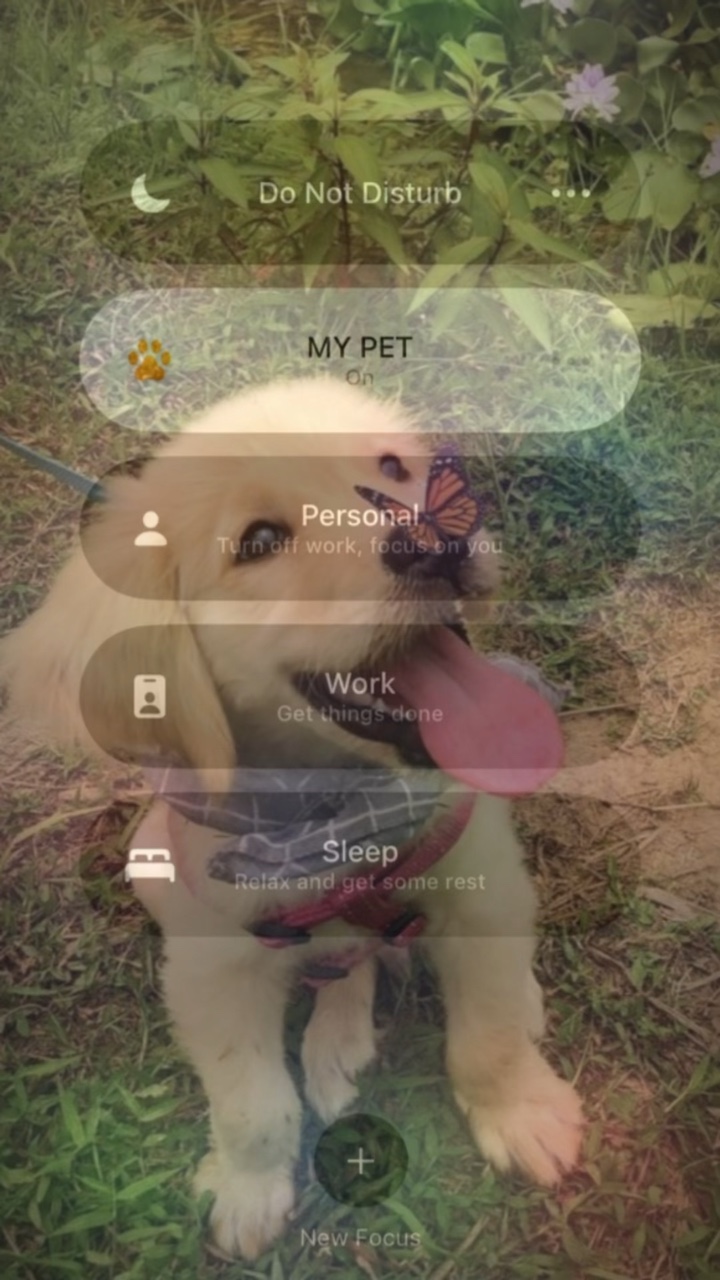 ANIMAL DE ESTIMAÇÃO TENDÊNCIA ❤️
