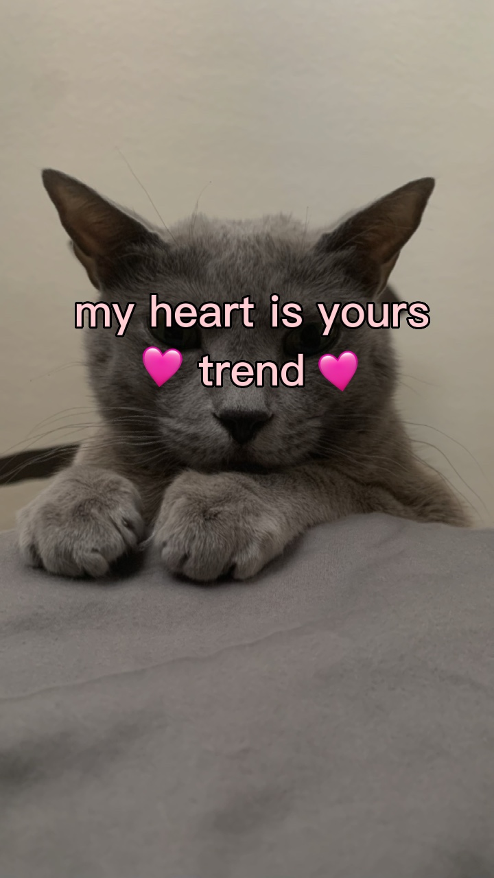 Mi corazón es tuyo🩷