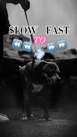 Slow To Fast - Numb