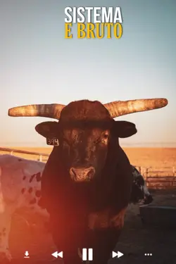 sertanejo 