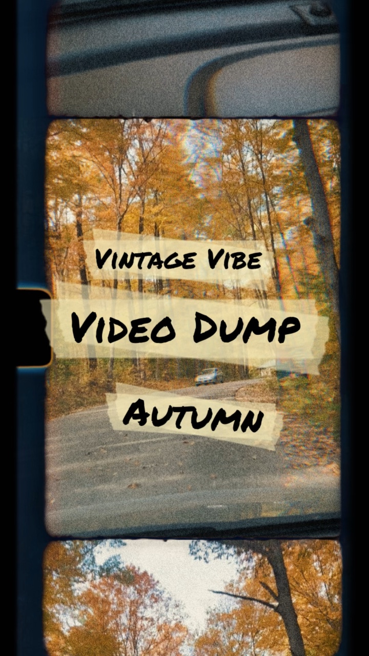 Vintage Video Dump 