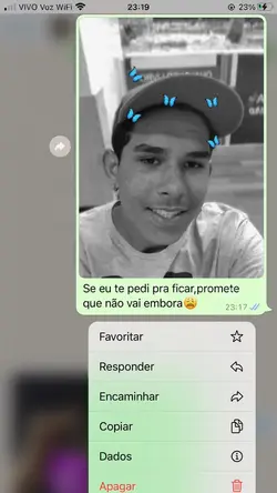 Conversa WhatsApp