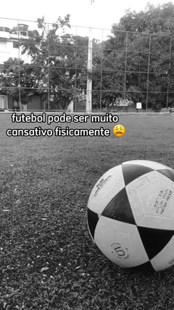 modelo novo 