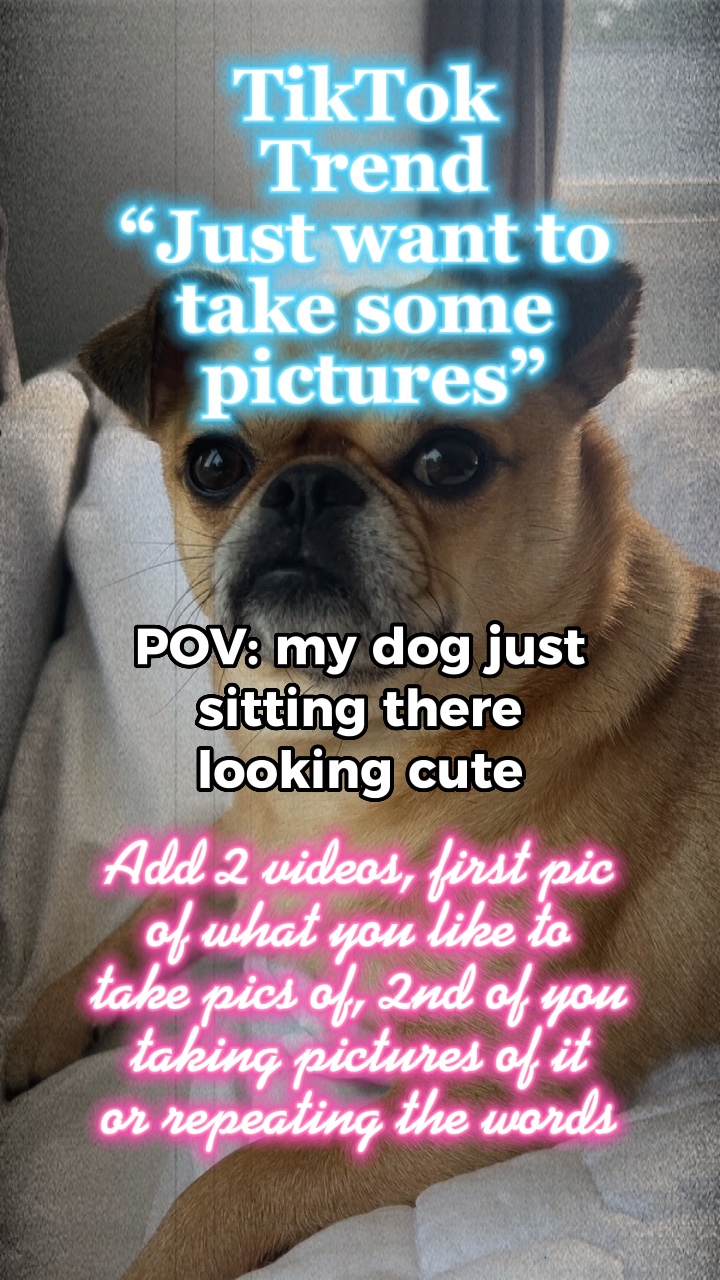Machen Sie ein paar Fotos