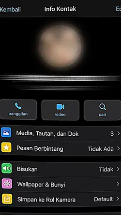 COLLAB GRUP WA BER7