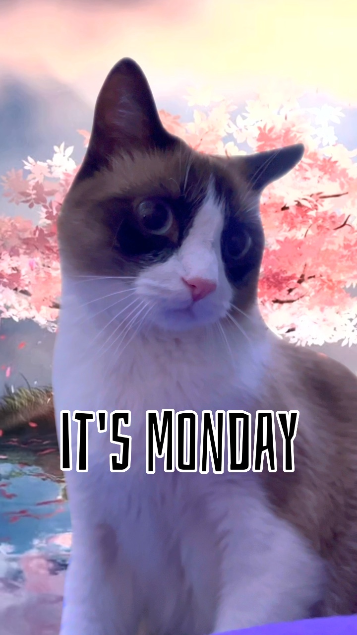 Lunes?!